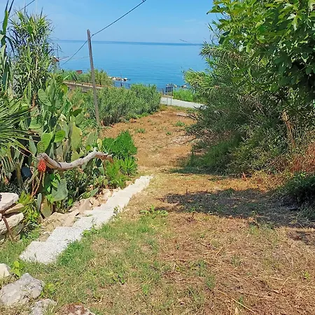 Bougainvillea * San Vito Chietino