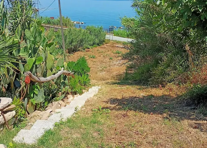 Bougainvillea * San Vito Chietino